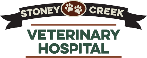 Animal Clinic in Whitsett, NC - Stoney Creek Veterinary Hospital