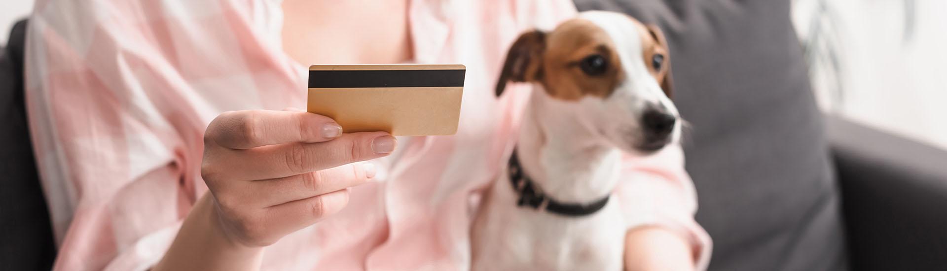 partial view of young woman holding credit card near dog and laptop while online shopping at home, banner