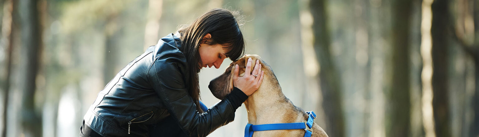 Pet Surgery in Whitsett - Stoney Creek Veterinary Hospital